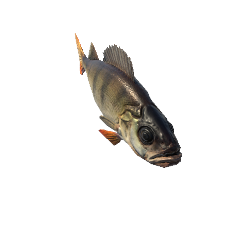 Prefab_Fish_Perch