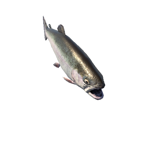 Prefab_Fish_Trout