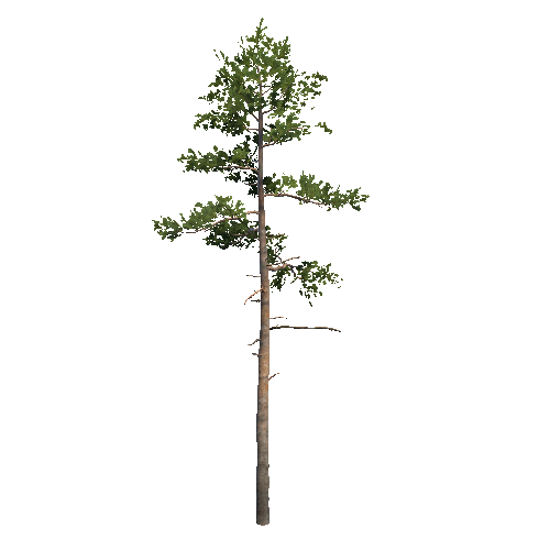 Prefab_Forest_pine_04