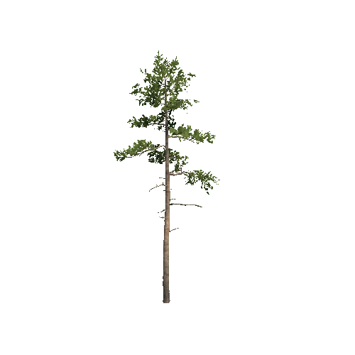 Prefab_Forest_pine_04