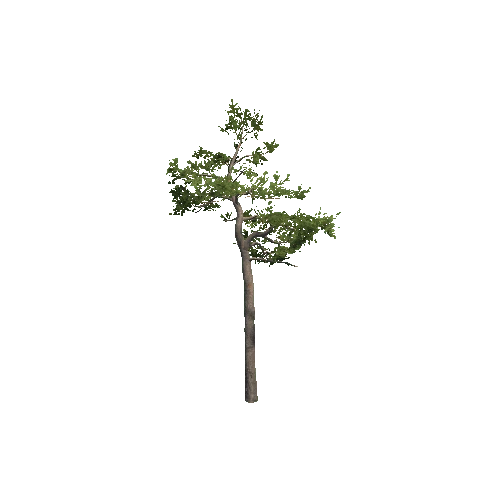 Prefab_Forest_pine_07