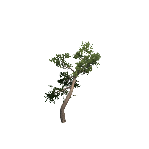 Prefab_Forest_pine_11_special