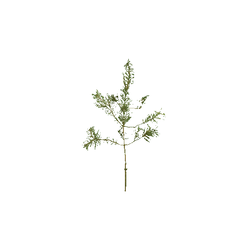 Prefab_Forest_pine_plant_00_B