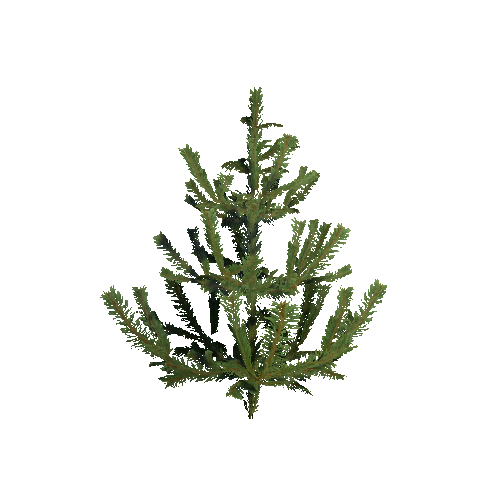 Prefab_Forest_pine_plant_02