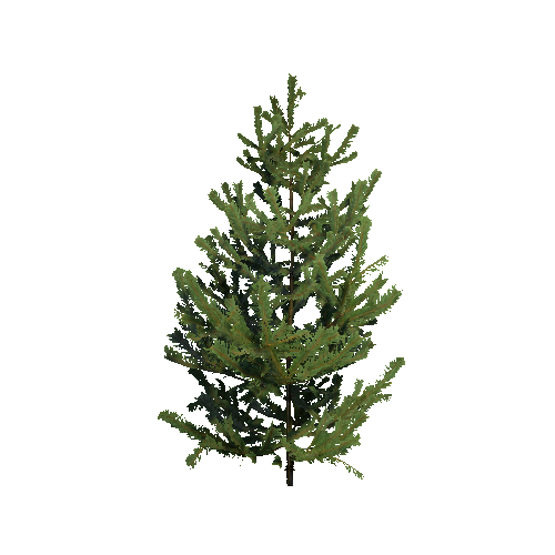 Prefab_Forest_pine_plant_03