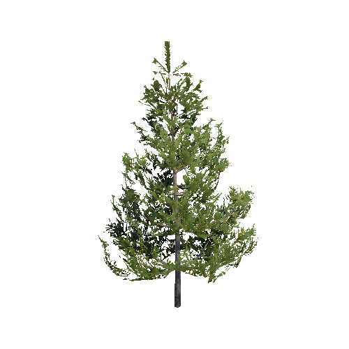 Prefab_Forest_pine_tree_00_A