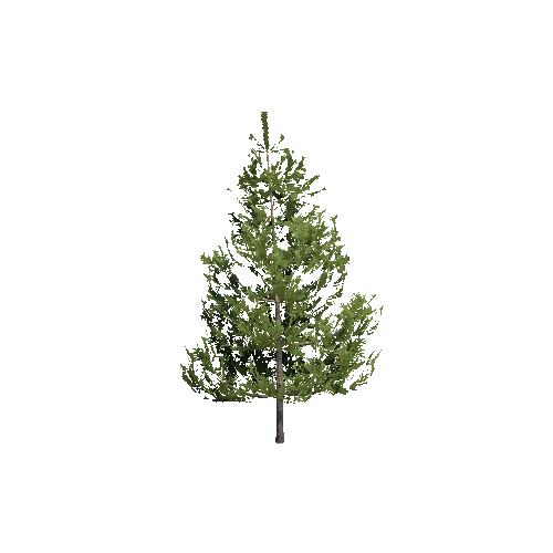 Prefab_Forest_pine_tree_00_A