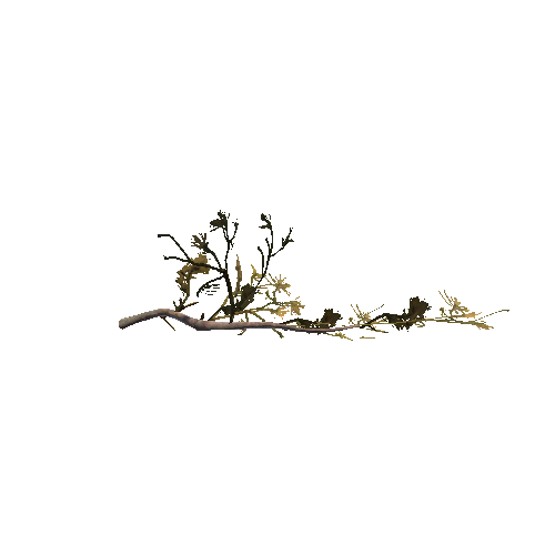 Prefab_Pine_broken_branch_10