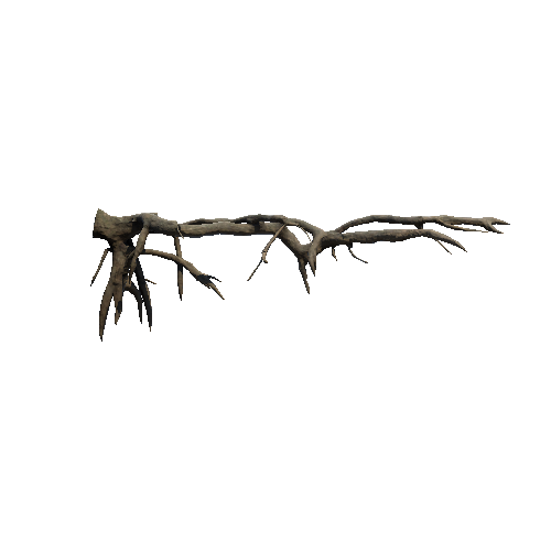 Prefab_Pine_roots_03