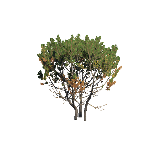 Prefab_dwarf_pine_big_02