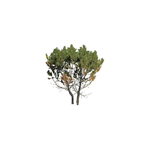 Prefab_dwarf_pine_big_02