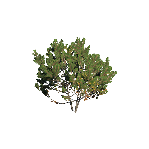 Prefab_dwarf_pine_medium_01