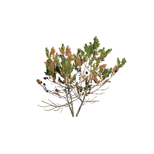 Prefab_dwarf_pine_medium_04