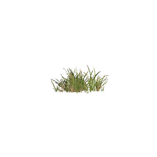 Prefab_grass_01_1_Unity_Terrain