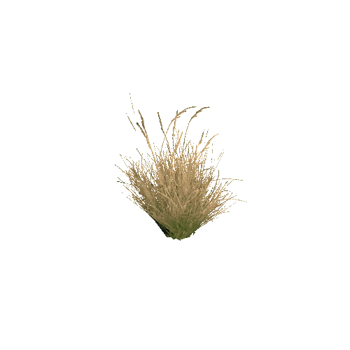 Prefab_grass_02_A_2