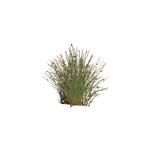 Prefab_grass_02_B_3