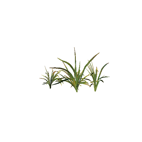 Prefab_grass_02_C_2