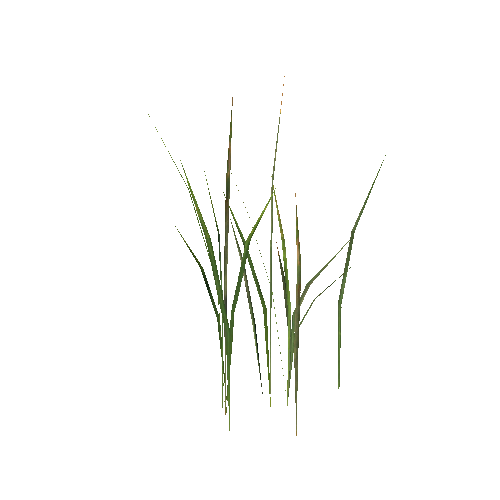 Prefab_grass_03_A_1