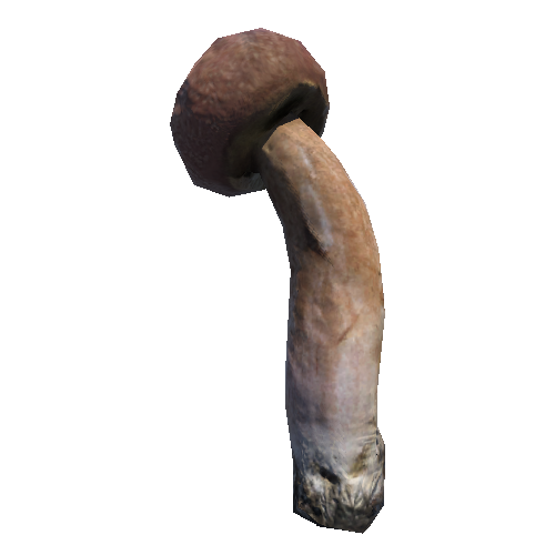 Prefab_mushroom_bay_bolete_01