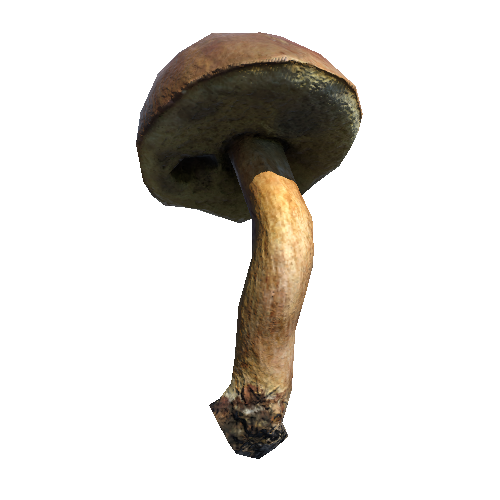 Prefab_mushroom_bay_bolete_02