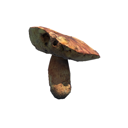 Prefab_mushroom_bay_bolete_03