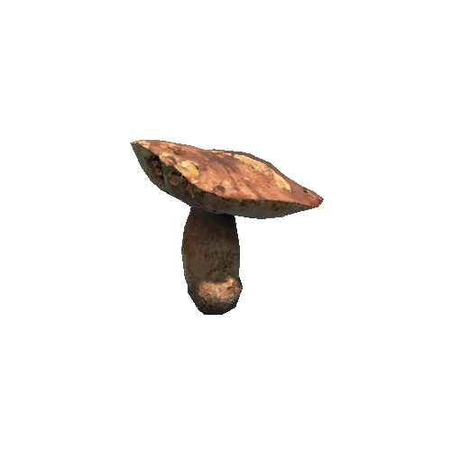 Prefab_mushroom_bay_bolete_03