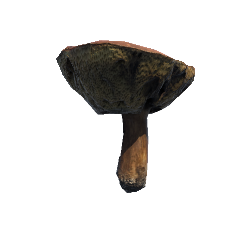 Prefab_mushroom_bay_bolete_04