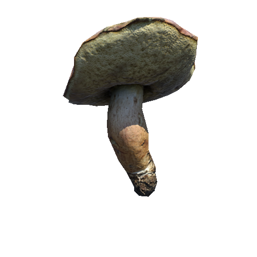 Prefab_mushroom_bay_bolete_05