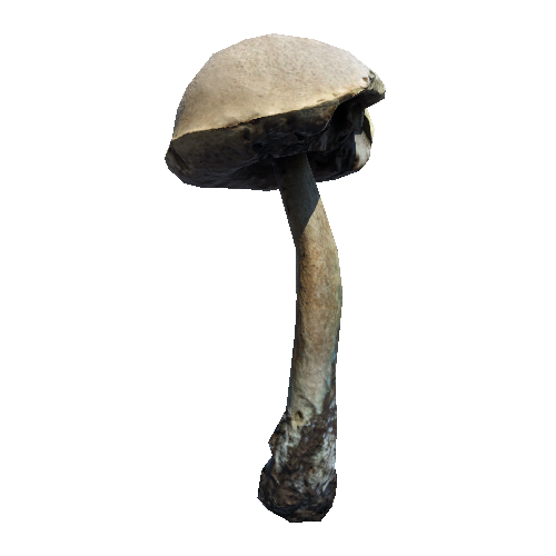 Prefab_mushroom_birch_bolete