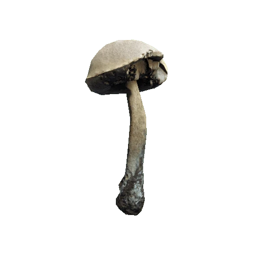 Prefab_mushroom_birch_bolete