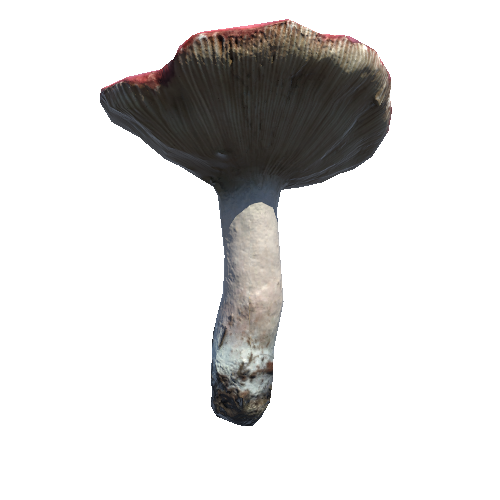 Prefab_mushroom_darkening_brittlegill