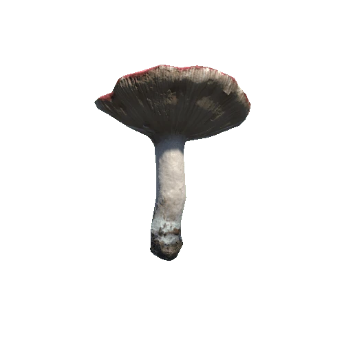 Prefab_mushroom_darkening_brittlegill