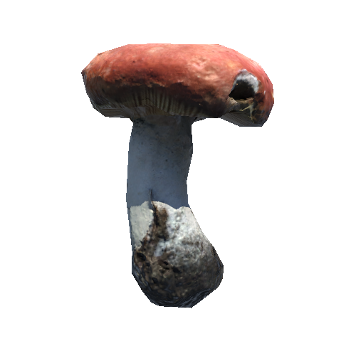 Prefab_mushroom_flirt_01