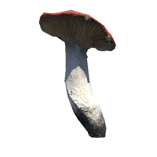 Prefab_mushroom_flirt_02