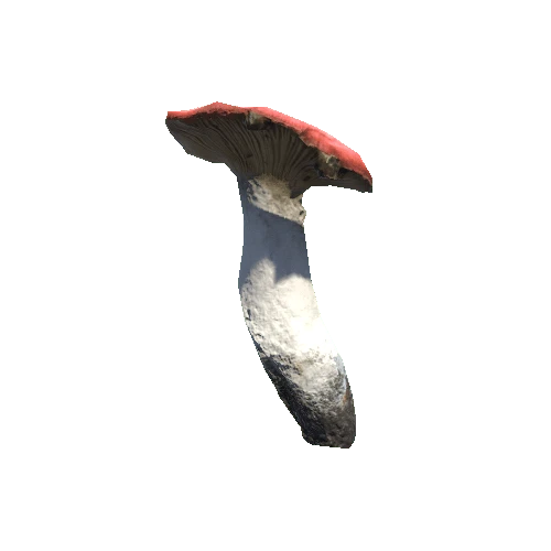 Prefab_mushroom_flirt_02