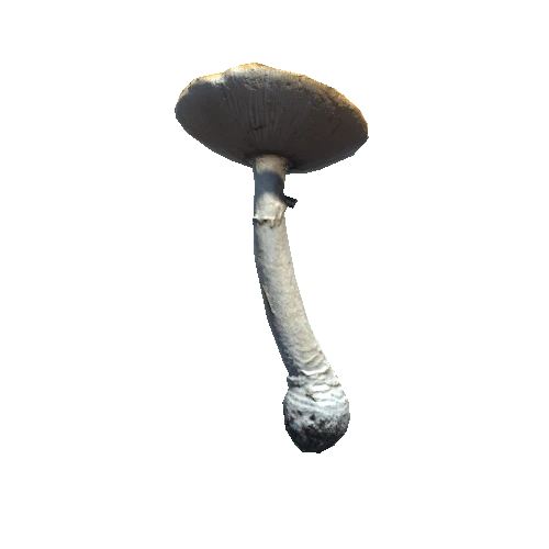 Prefab_mushroom_fly_amanita_02