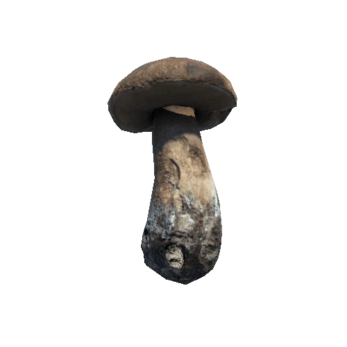 Prefab_mushroom_pennybun_01