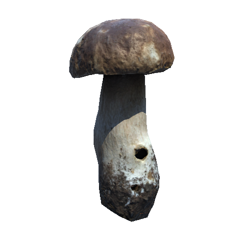 Prefab_mushroom_pennybun_02