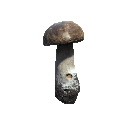 Prefab_mushroom_pennybun_02