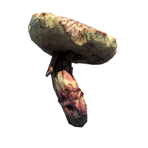 Prefab_mushroom_red_cracking_bolete