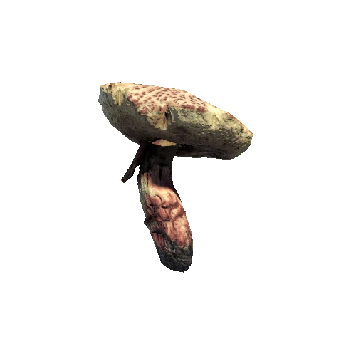 Prefab_mushroom_red_cracking_bolete