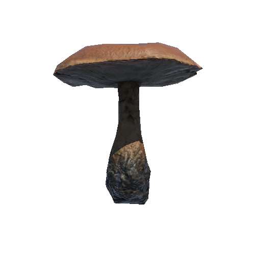 Prefab_mushroom_rufous_milkcap_01