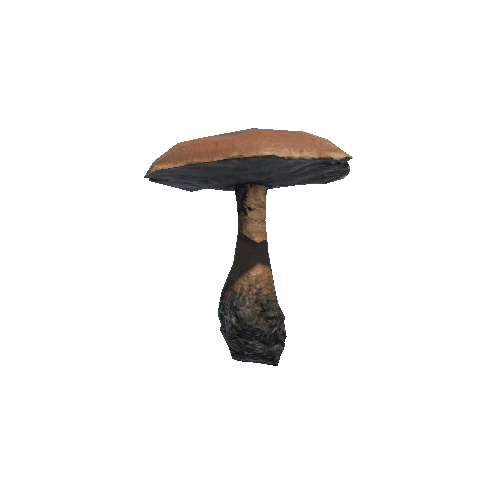 Prefab_mushroom_rufous_milkcap_01