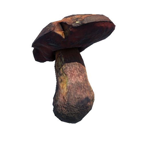 Prefab_mushroom_scarletina_bolete_02