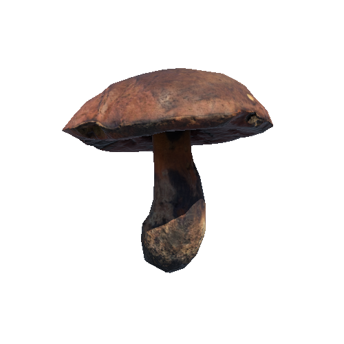 Prefab_mushroom_scarletina_bolete_03