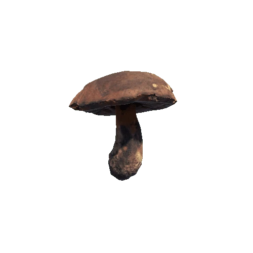 Prefab_mushroom_scarletina_bolete_03