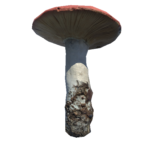 Prefab_mushroom_sickener_01