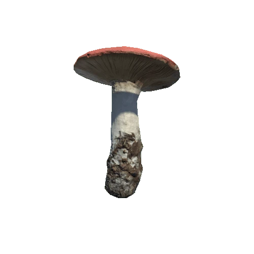 Prefab_mushroom_sickener_01