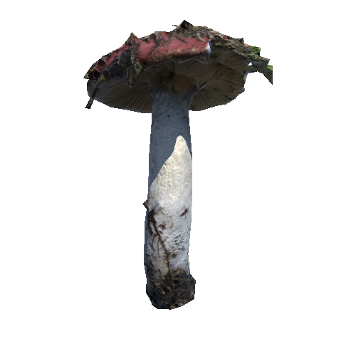 Prefab_mushroom_sickener_02