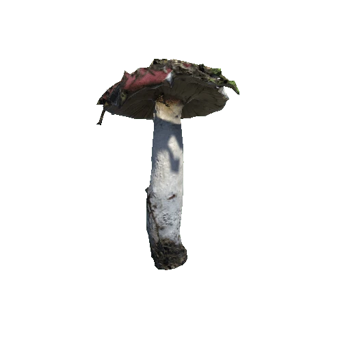 Prefab_mushroom_sickener_02